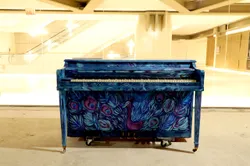 Infinite Imagination