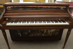 Musicians of New York